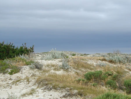 P5190115