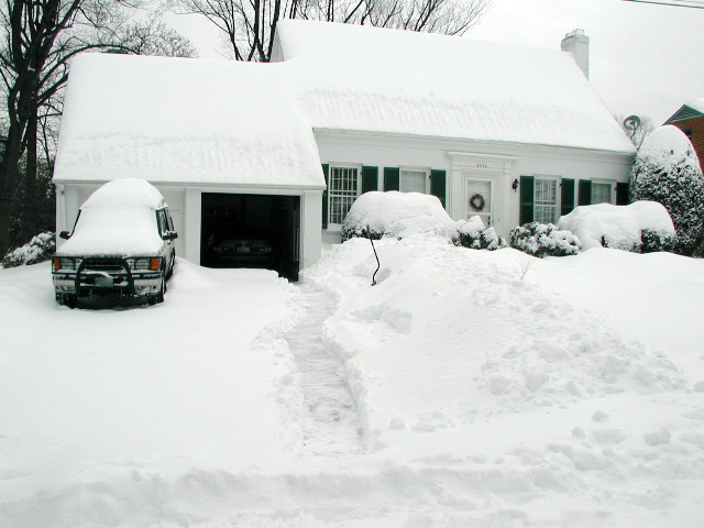 Attempting to dig out