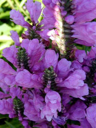 P9130036