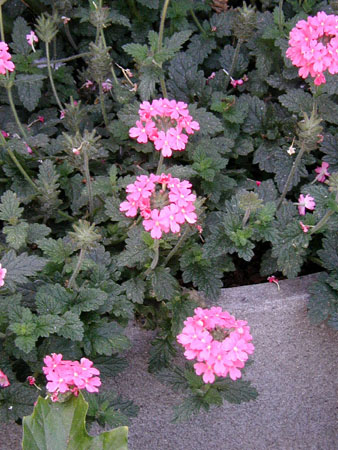 P9130039