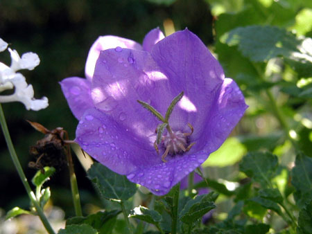 P9130044