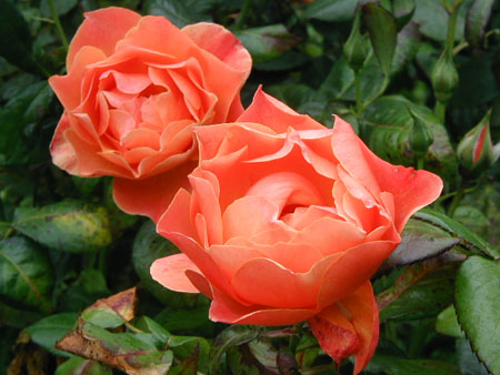 P9130054
