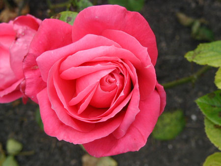 P9130056