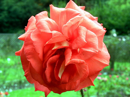 P9130058