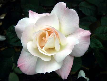 P9130064
