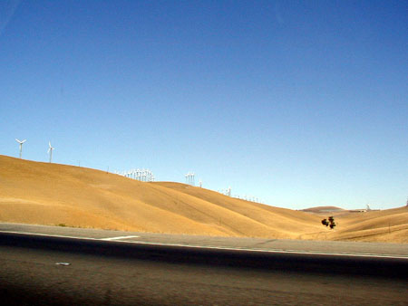 P9030010